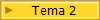 Tema 2